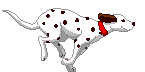 chiens